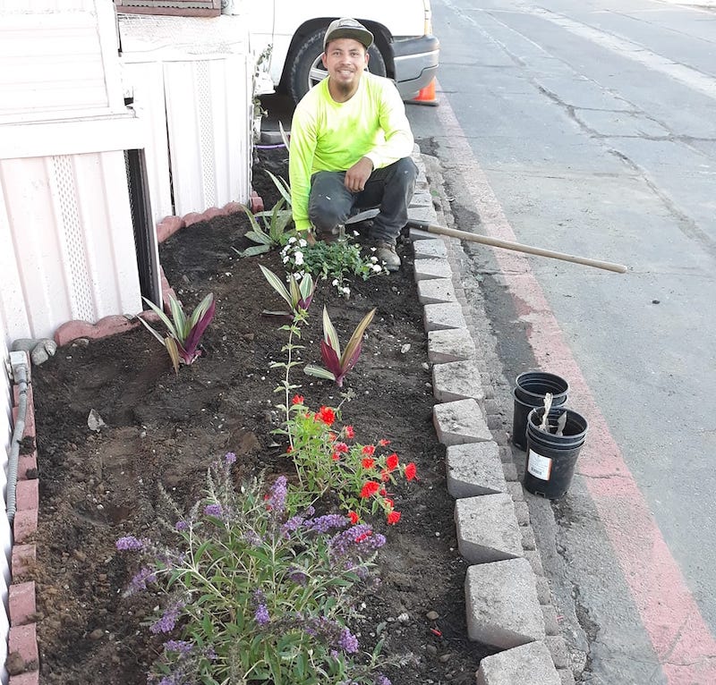 Sacramento Landscaping Service