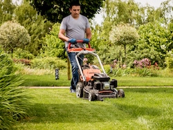 Mow and Edge Lawns